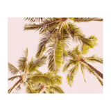 Blush Pink Boho Palm Trees (Print Only) thumbnail