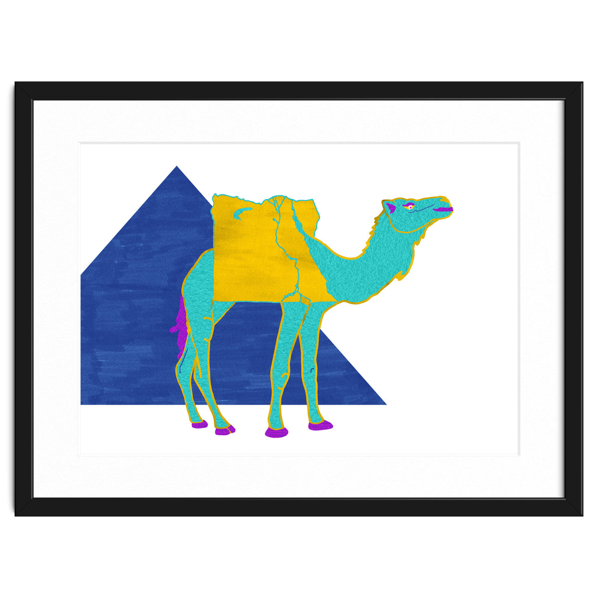 Egyptian Dromedary
