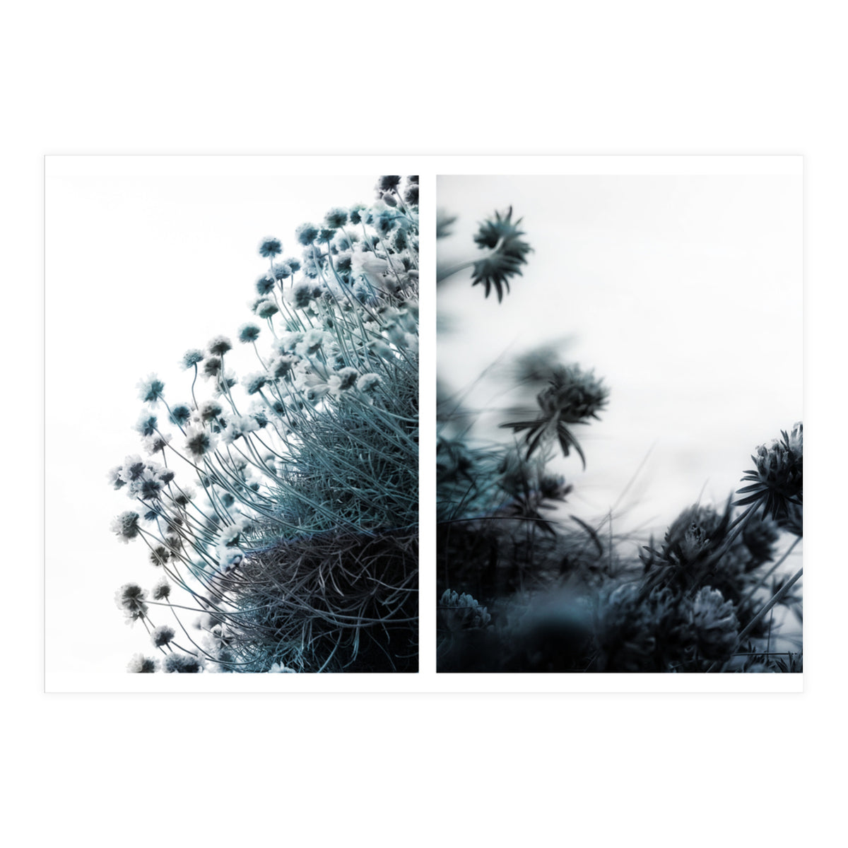 Andante (Print Only)