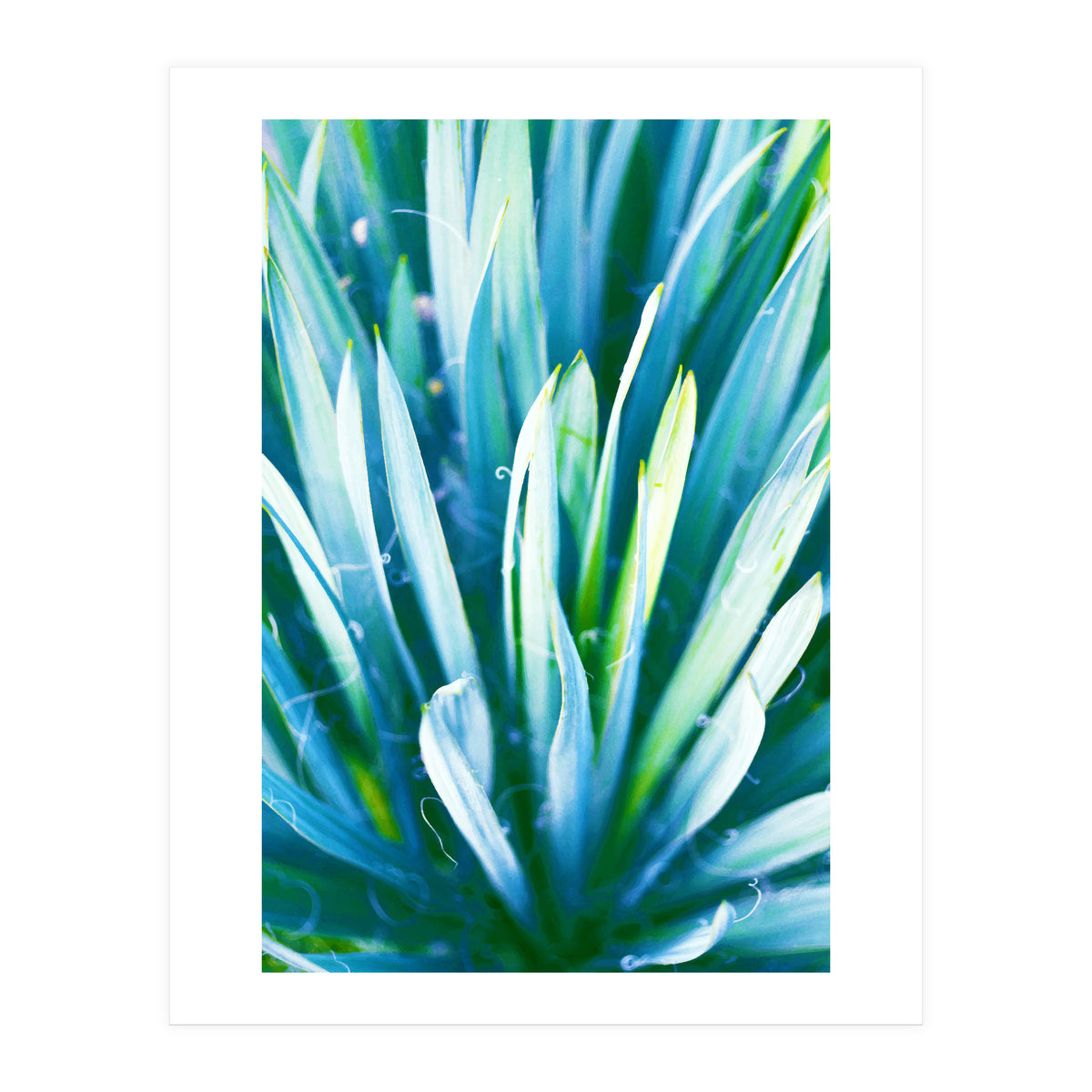 Heart Of Nature (Print Only)