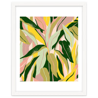 Tropical Matisse Houseplant