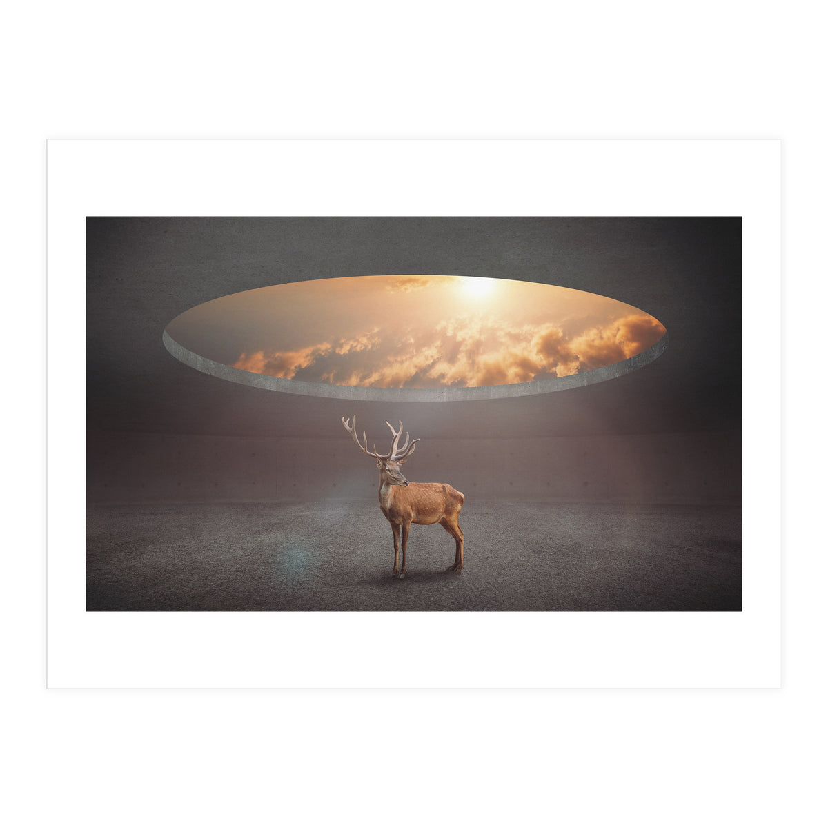 Display Ring (Print Only)