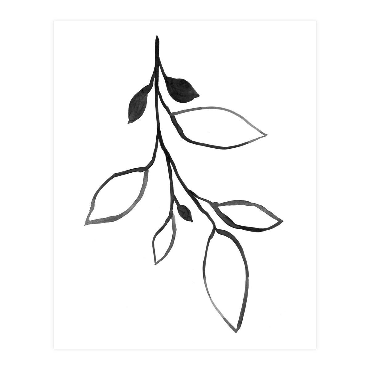Ink Plant 3 (Print Only)