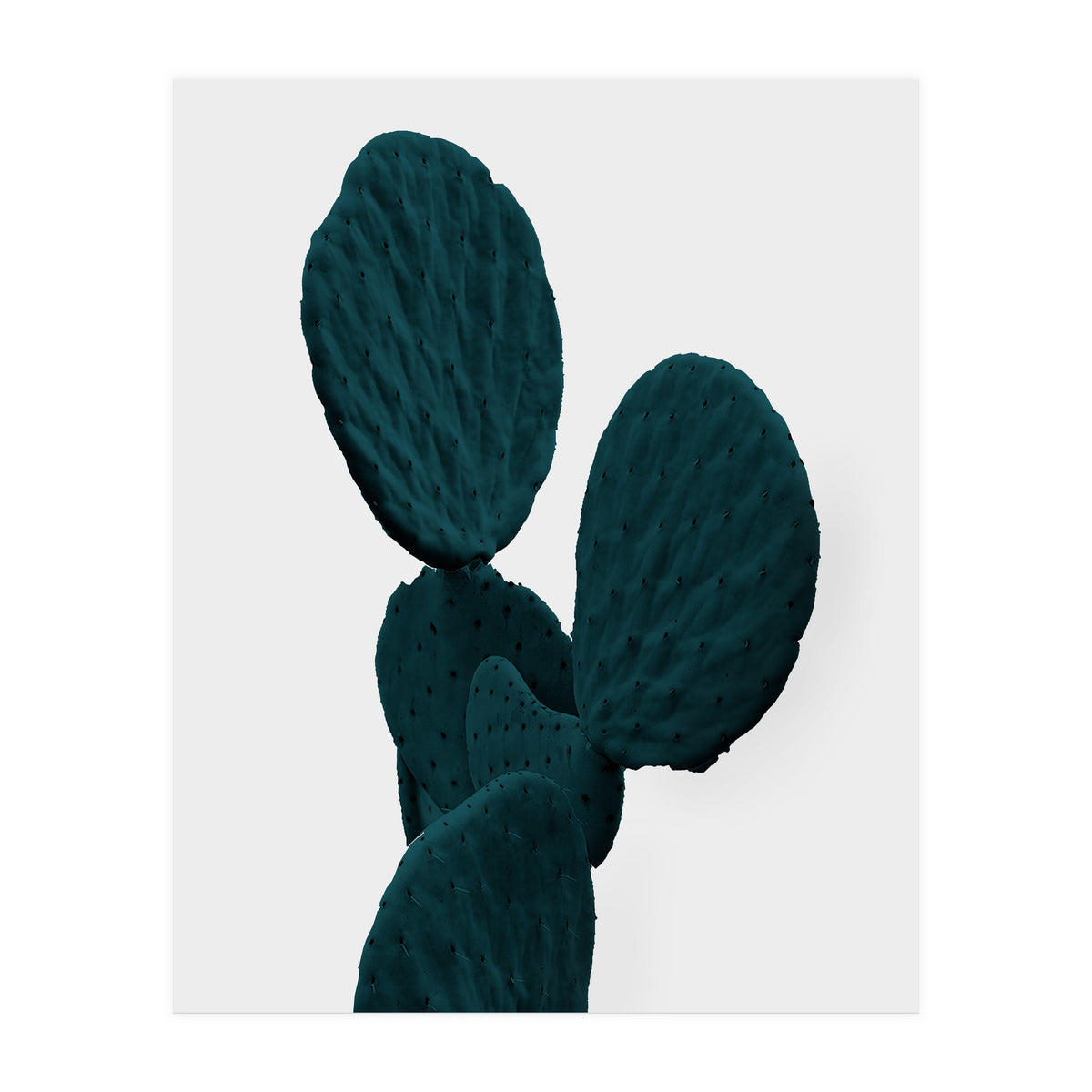 Cactus Art (Print Only)