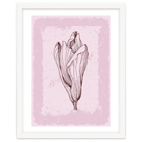 Magnolia Neutral Abstract Botanical