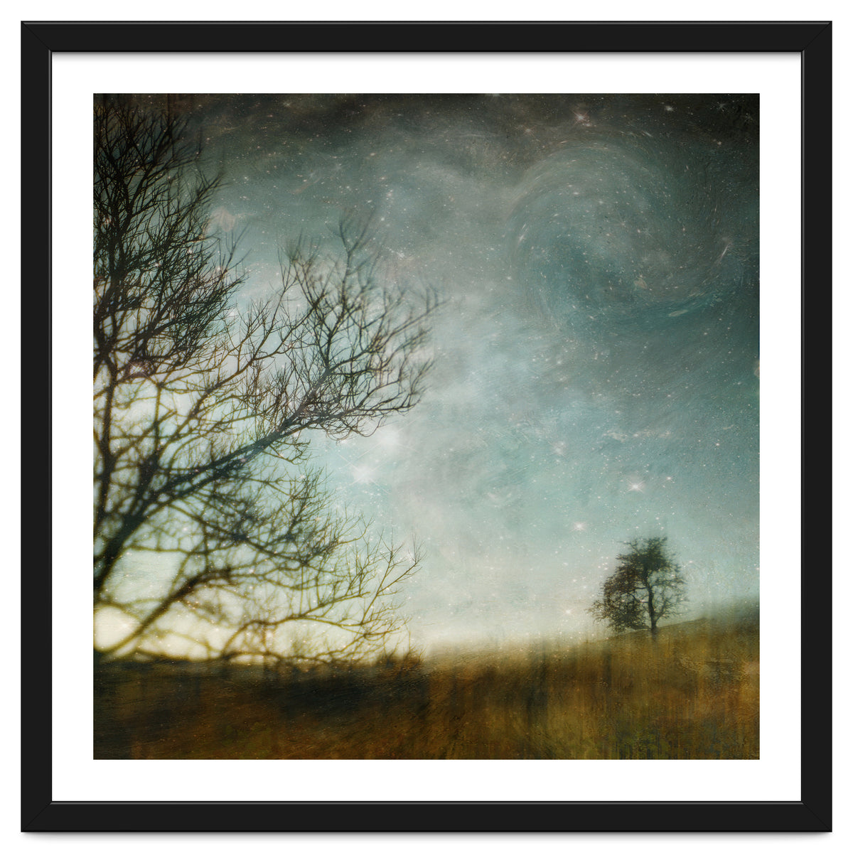 The Tree That Whispered