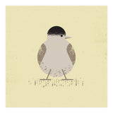 Blackcap 2 (Print Only) thumbnail