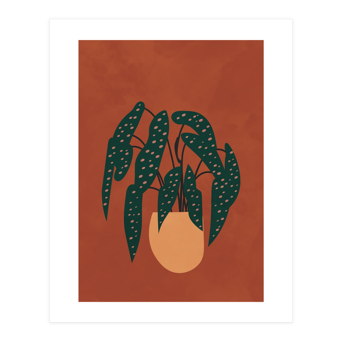 Boho Terracotta Begonia (Print Only)