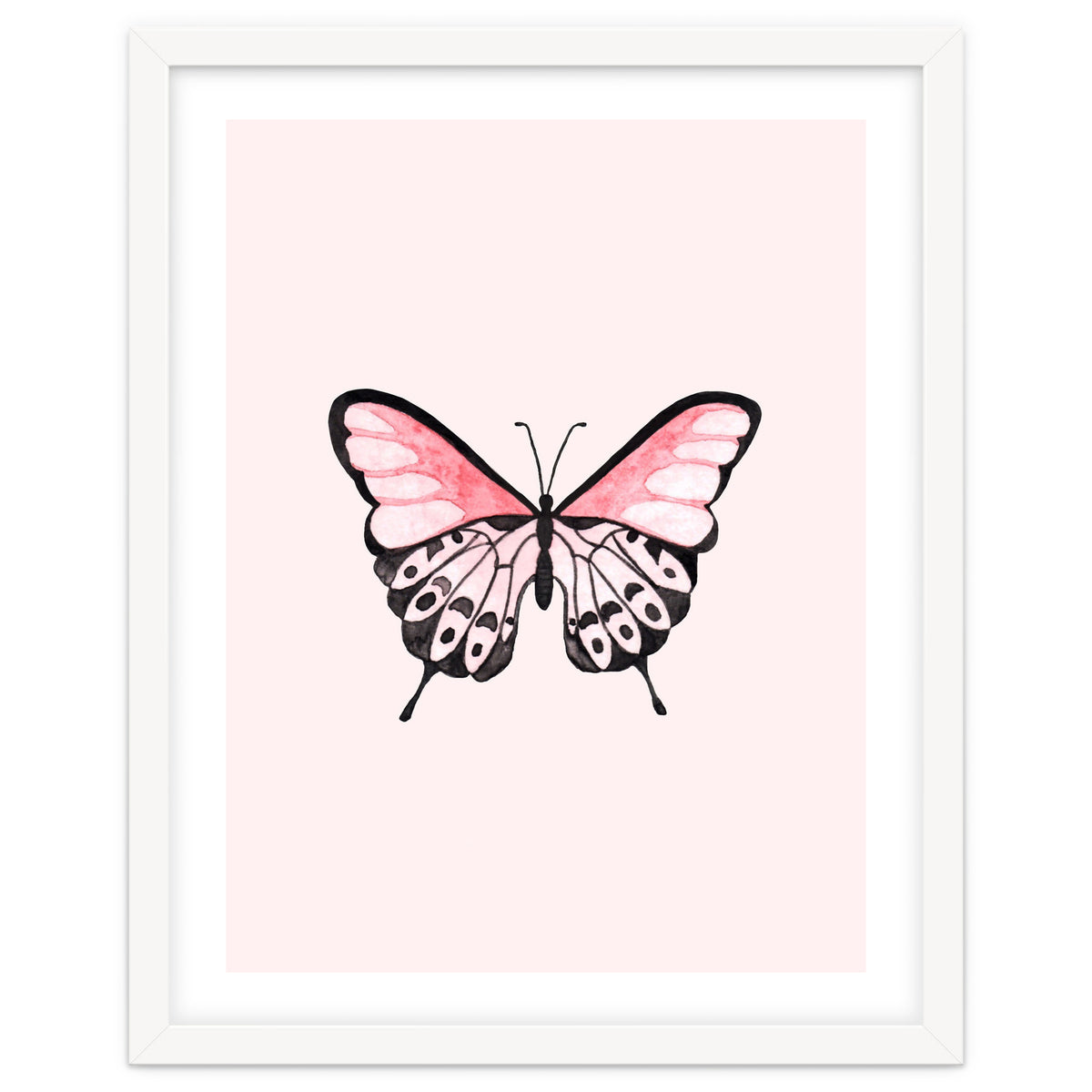 Pink Butterfly