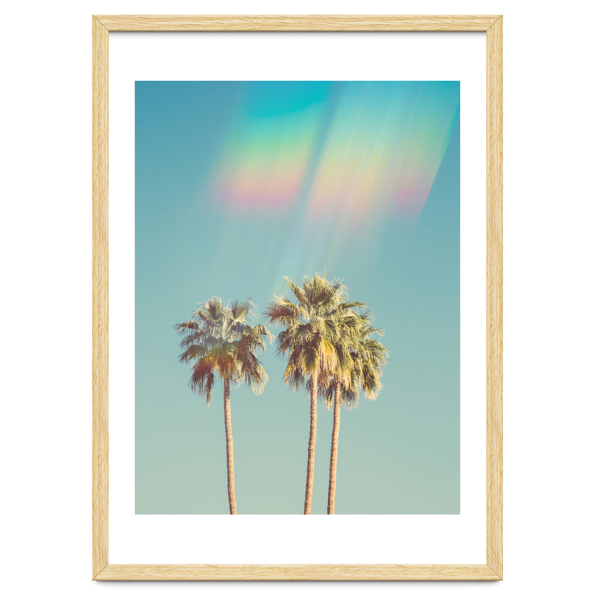 Groovy California Palm Trees