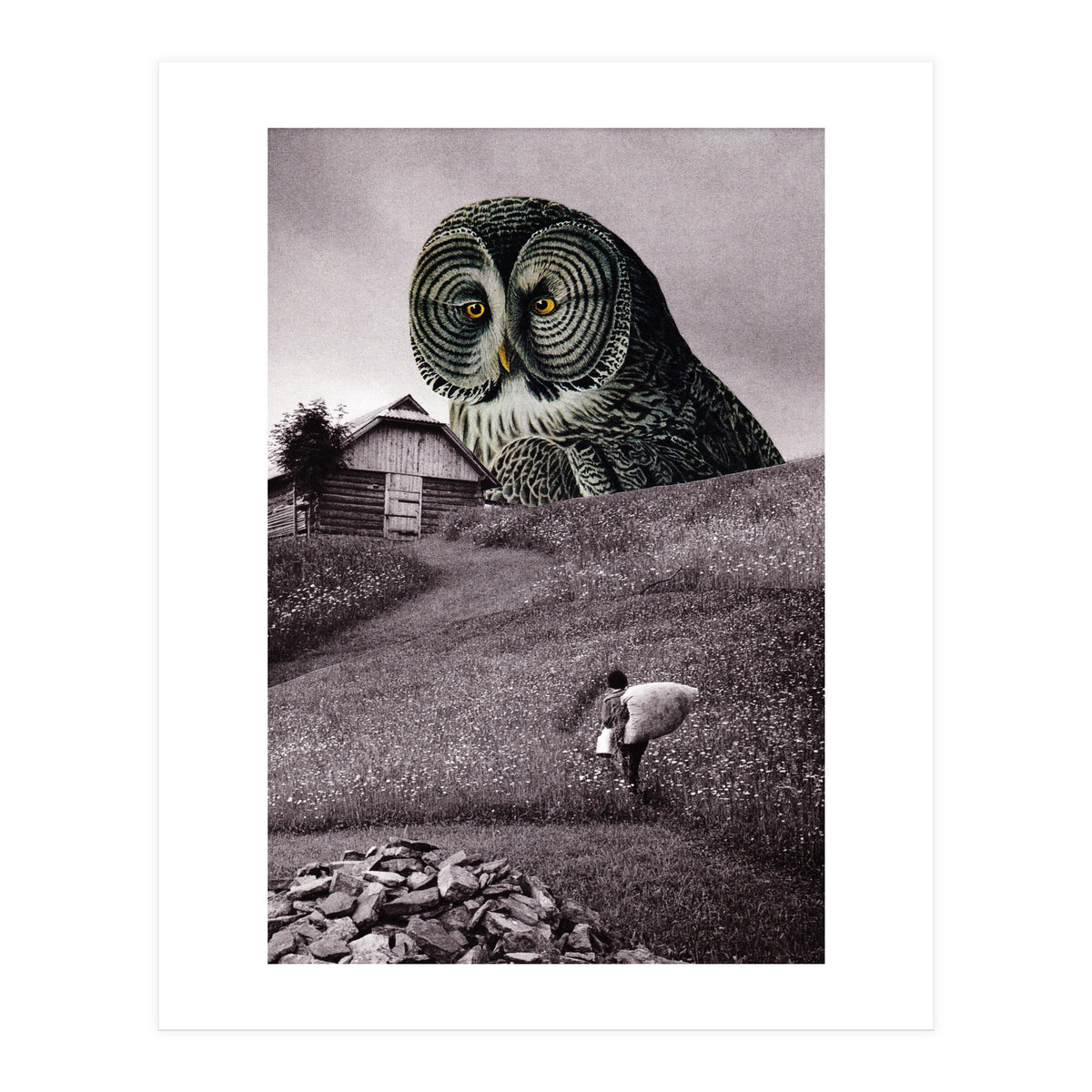 Nocturnal (Print Only)