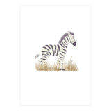 Zebra  (Print Only) thumbnail