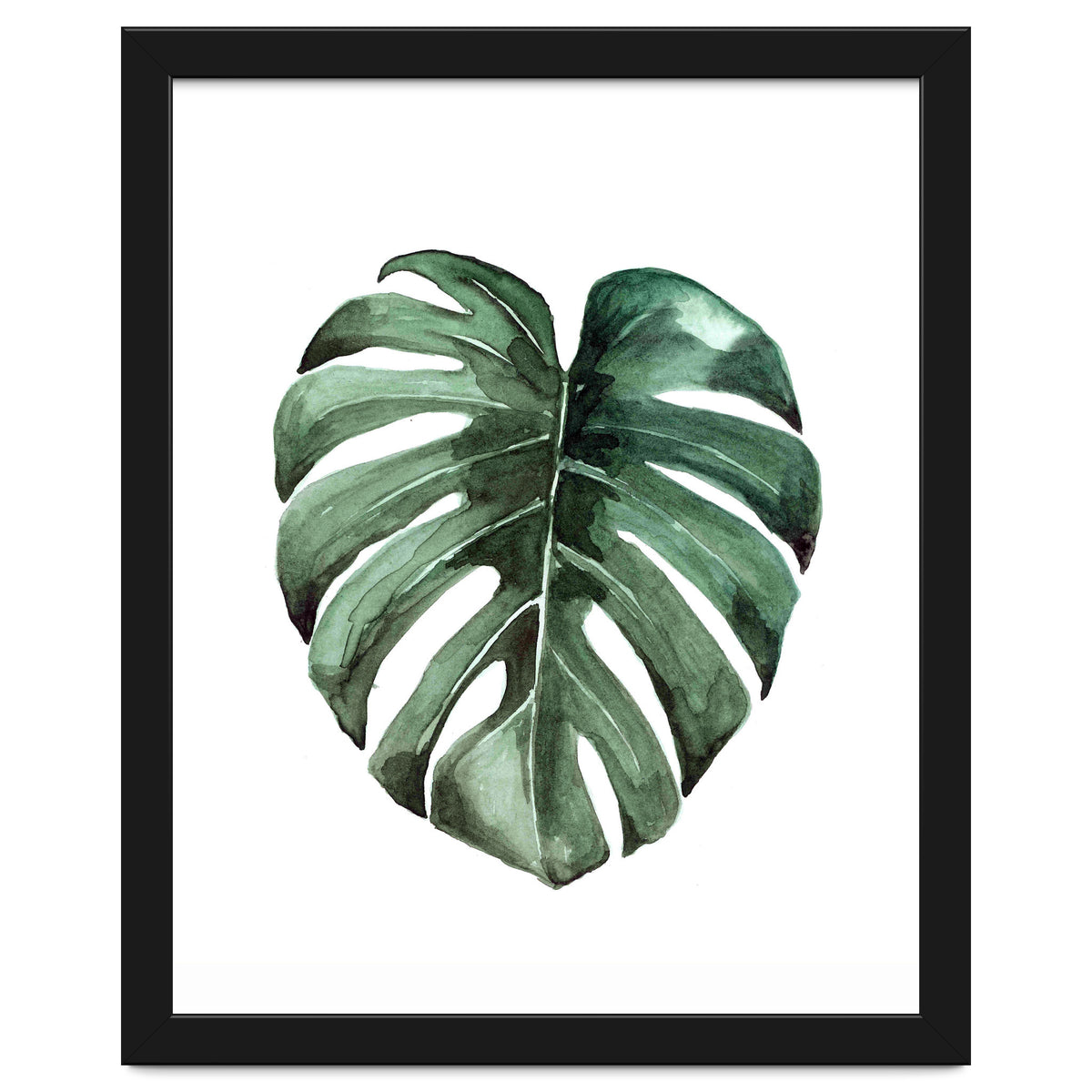 Botanical Illustration Monstera Deliciosa