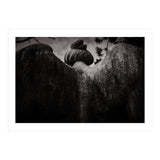 Angel Wings (Print Only) thumbnail
