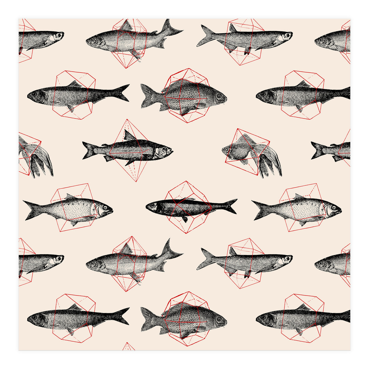 Fish In Geometrics  (Print Only)