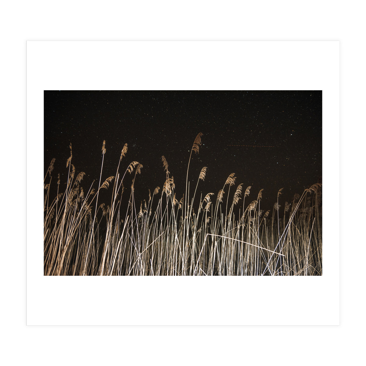 The Shining (Print Only)