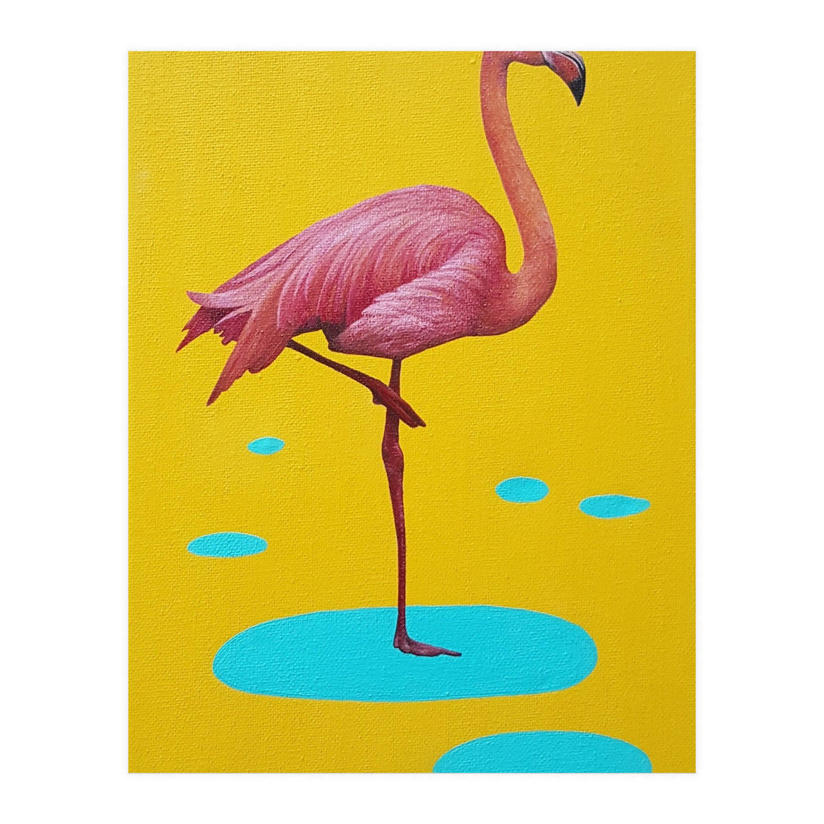 Flamingo (Print Only)