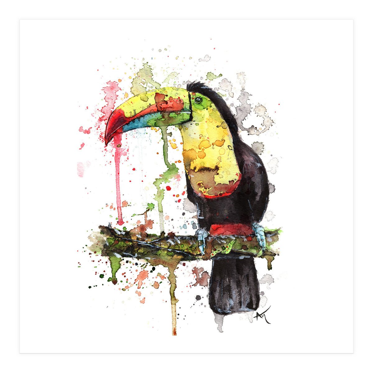 Toucan - Wildlife Collection (Print Only)