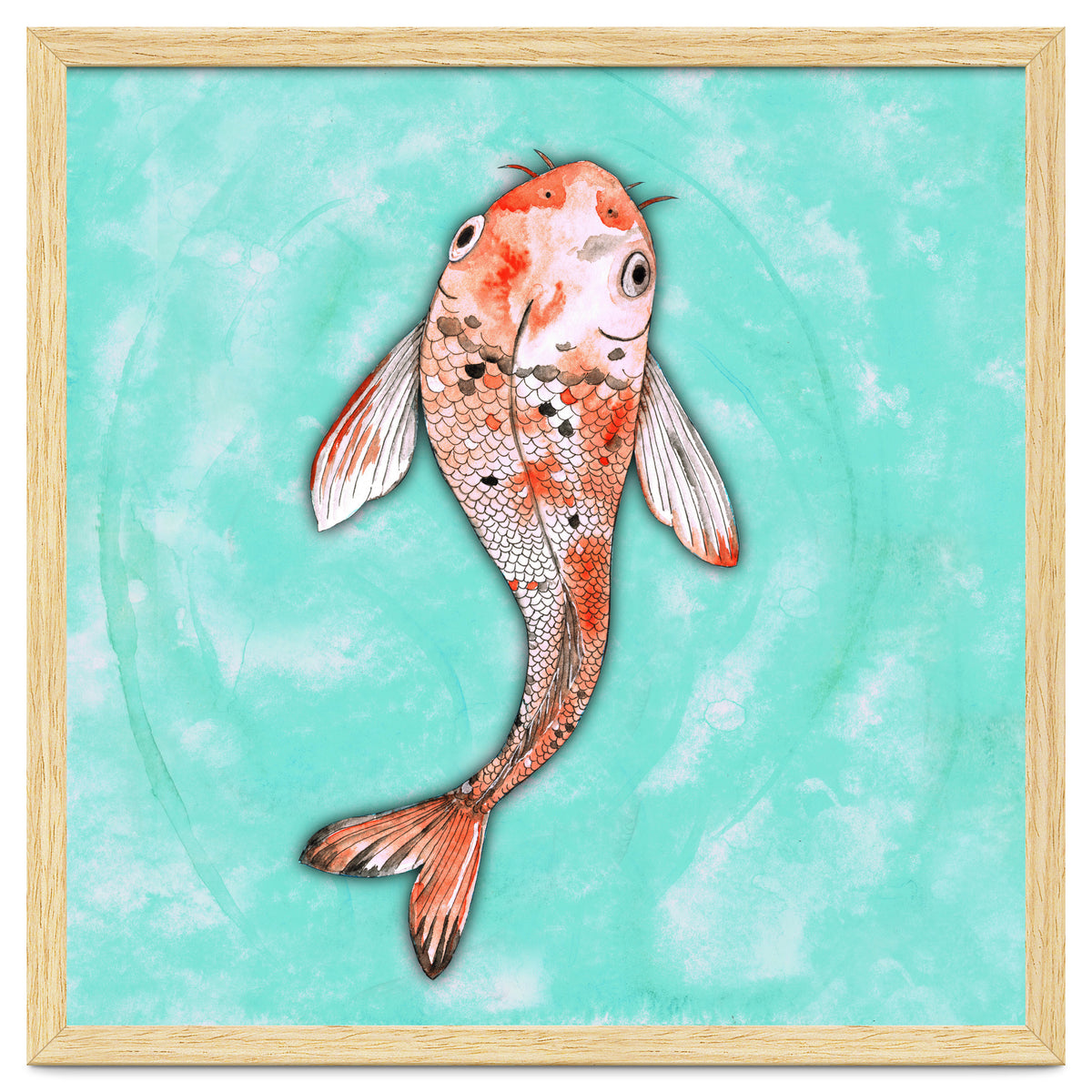 Koi fish
