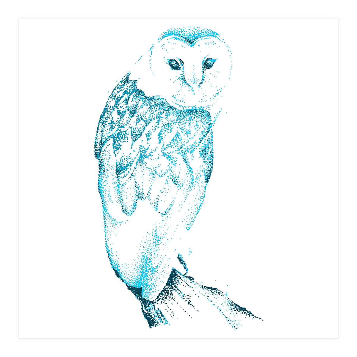 Barn Owl in Teal (Print Only)