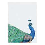 Peacock Portrait (Print Only) thumbnail