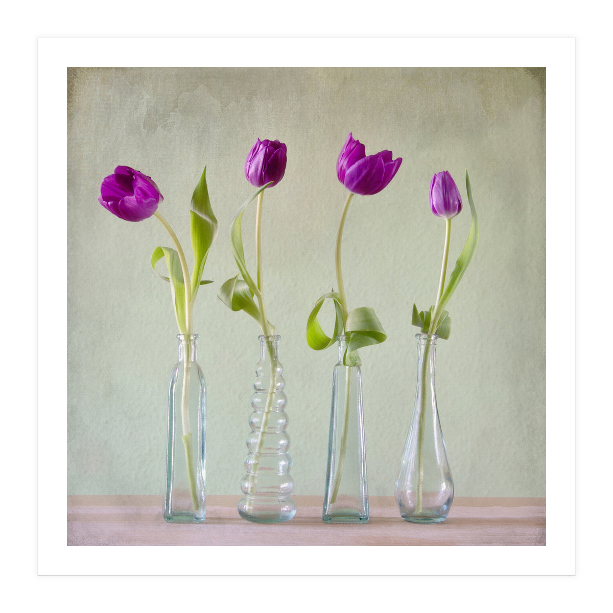 Tulips (Print Only)