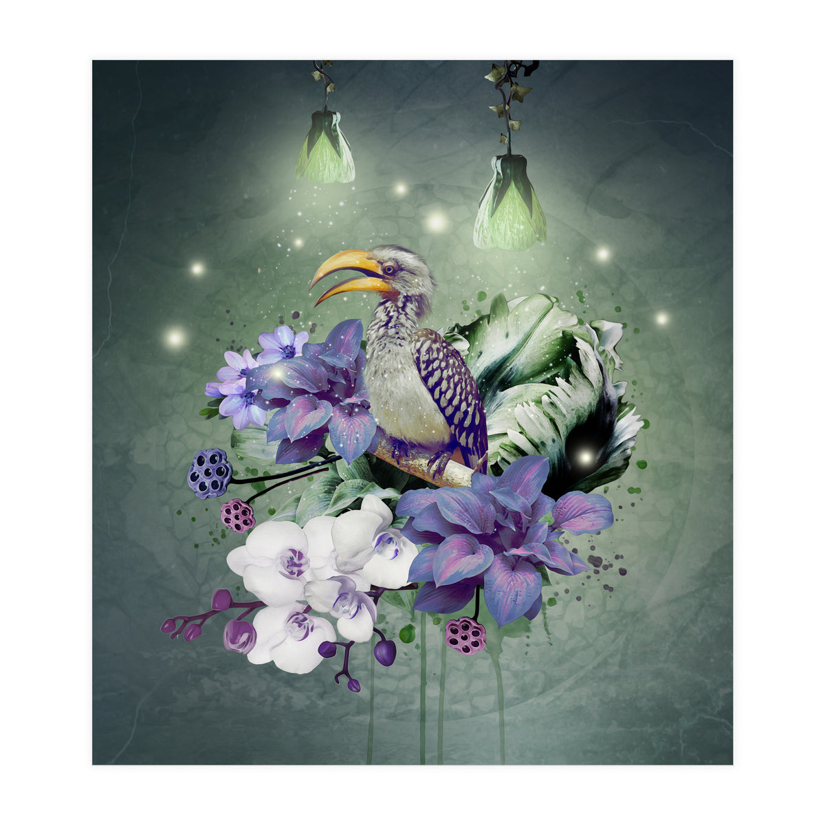 Floral Magic Hornbill  (Print Only)