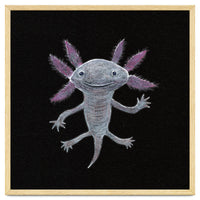 Axolotl