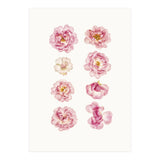 Cc Flower 04 (Print Only) thumbnail