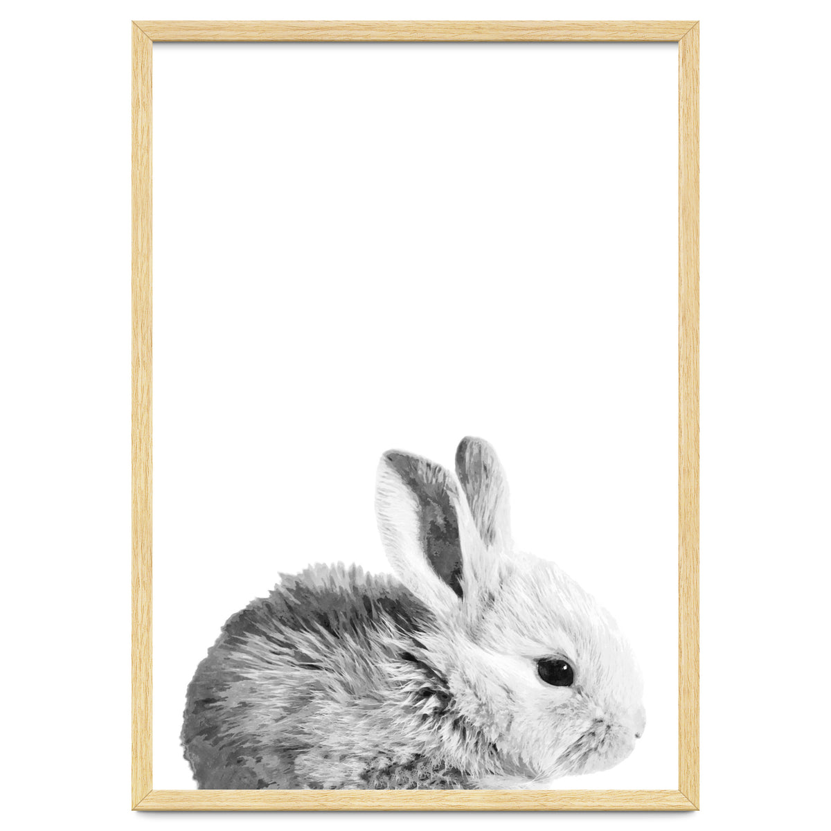 Black and White Bunny Portrait