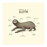 Anatomy Of A Sloth (Print Only) thumbnail