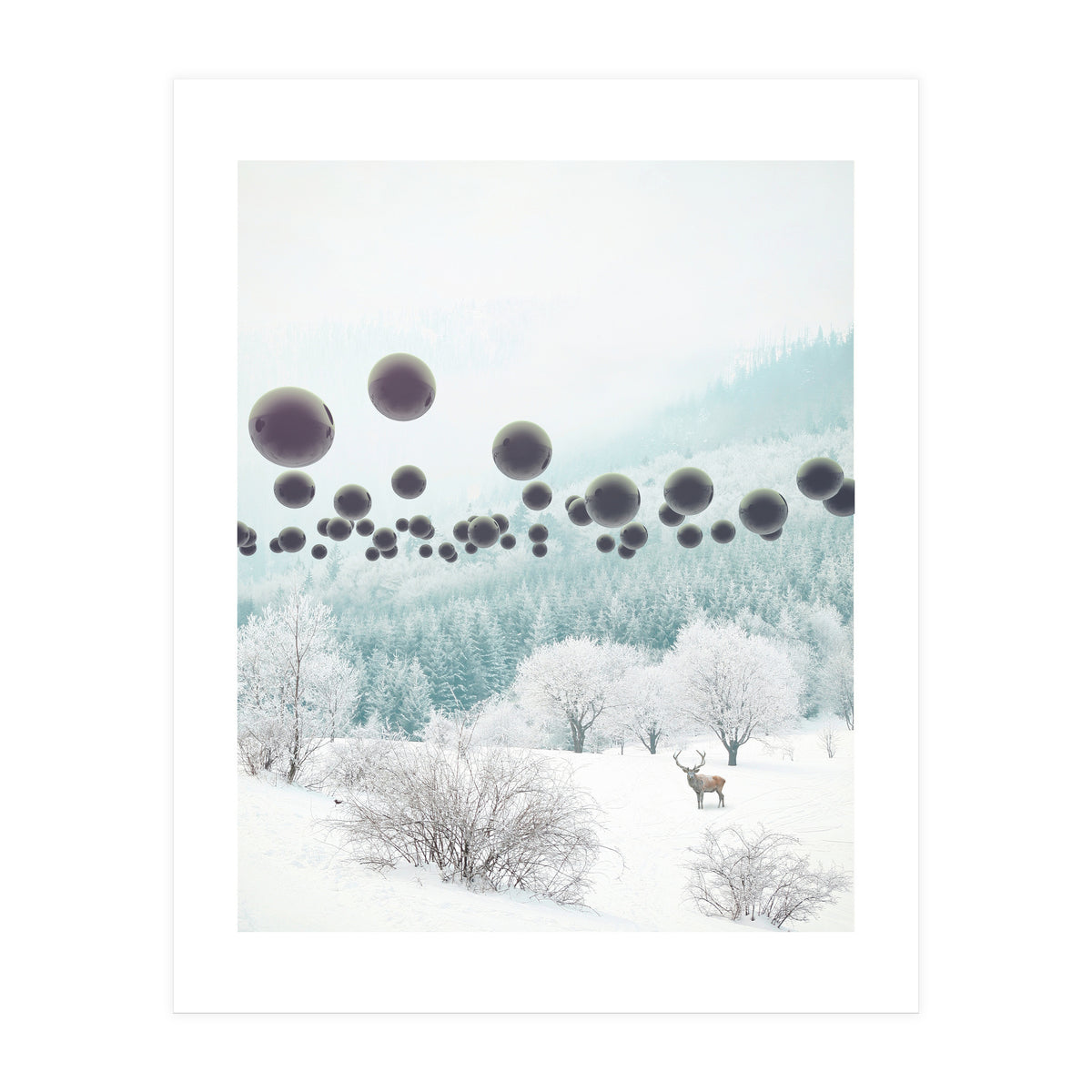 Forest Phantom (Print Only)