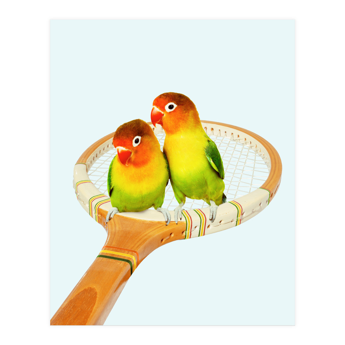 Retro Birds (Print Only)