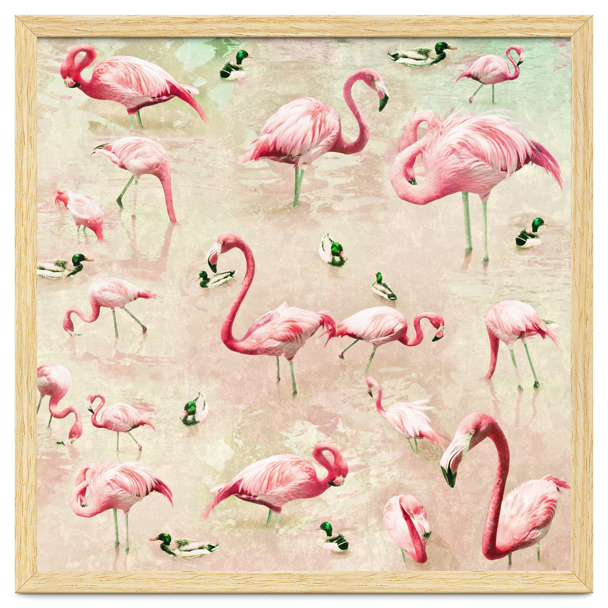 Flamingos Vintage Pink