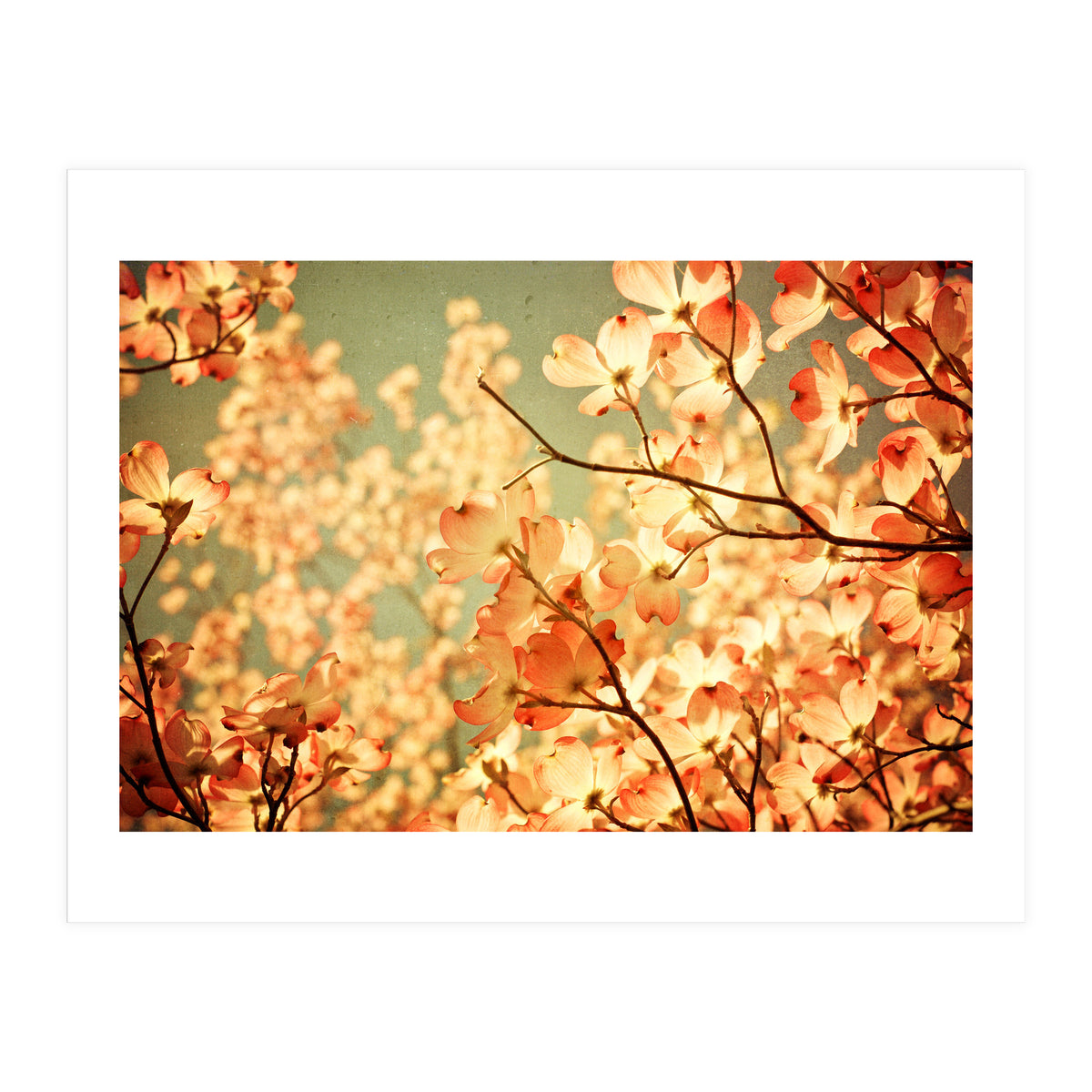 Vintage Pink (Print Only)