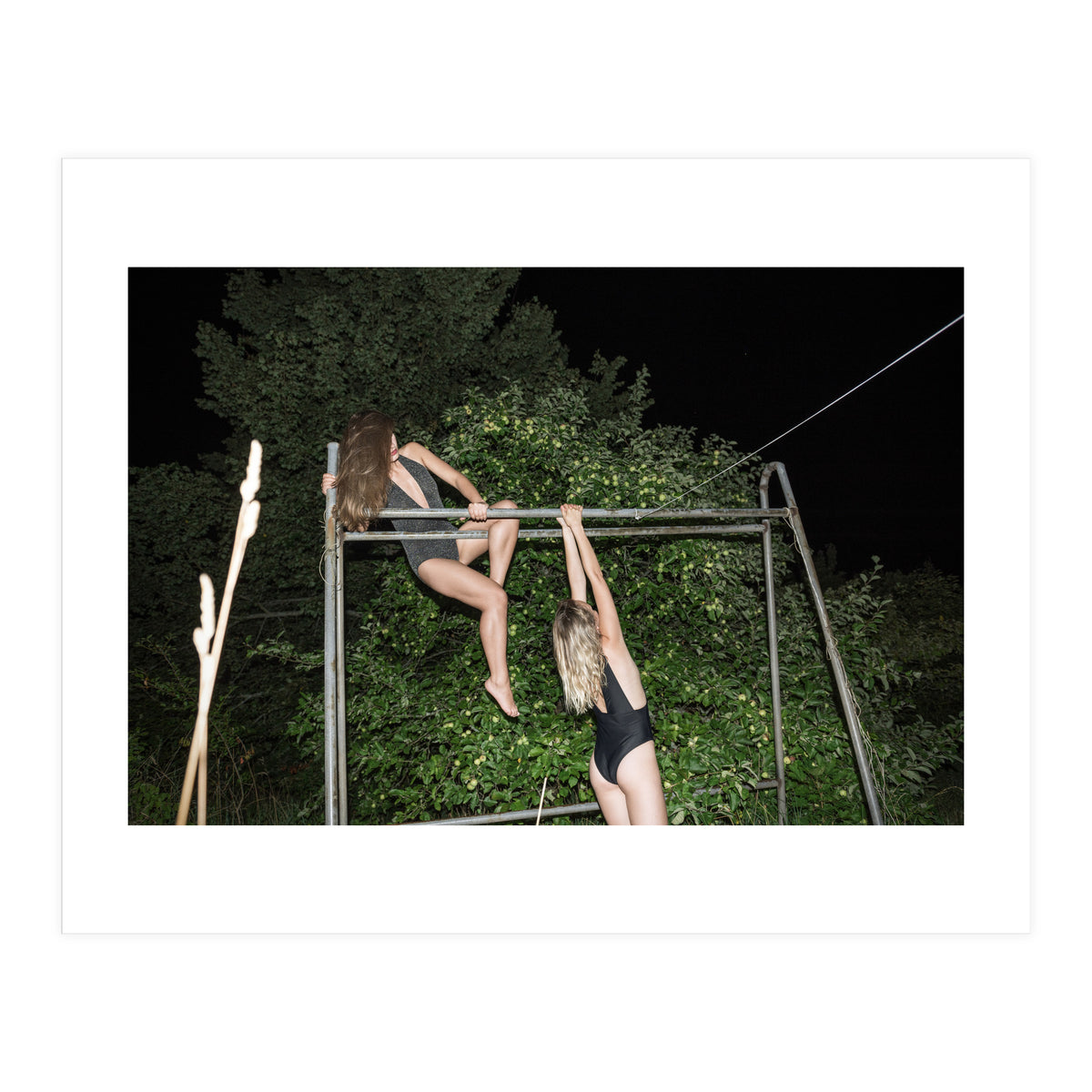 Wild Tales (Print Only)