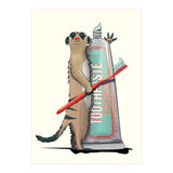 Meerkat Brushing Teeth, Funny Bathroom Humour (Print Only) thumbnail
