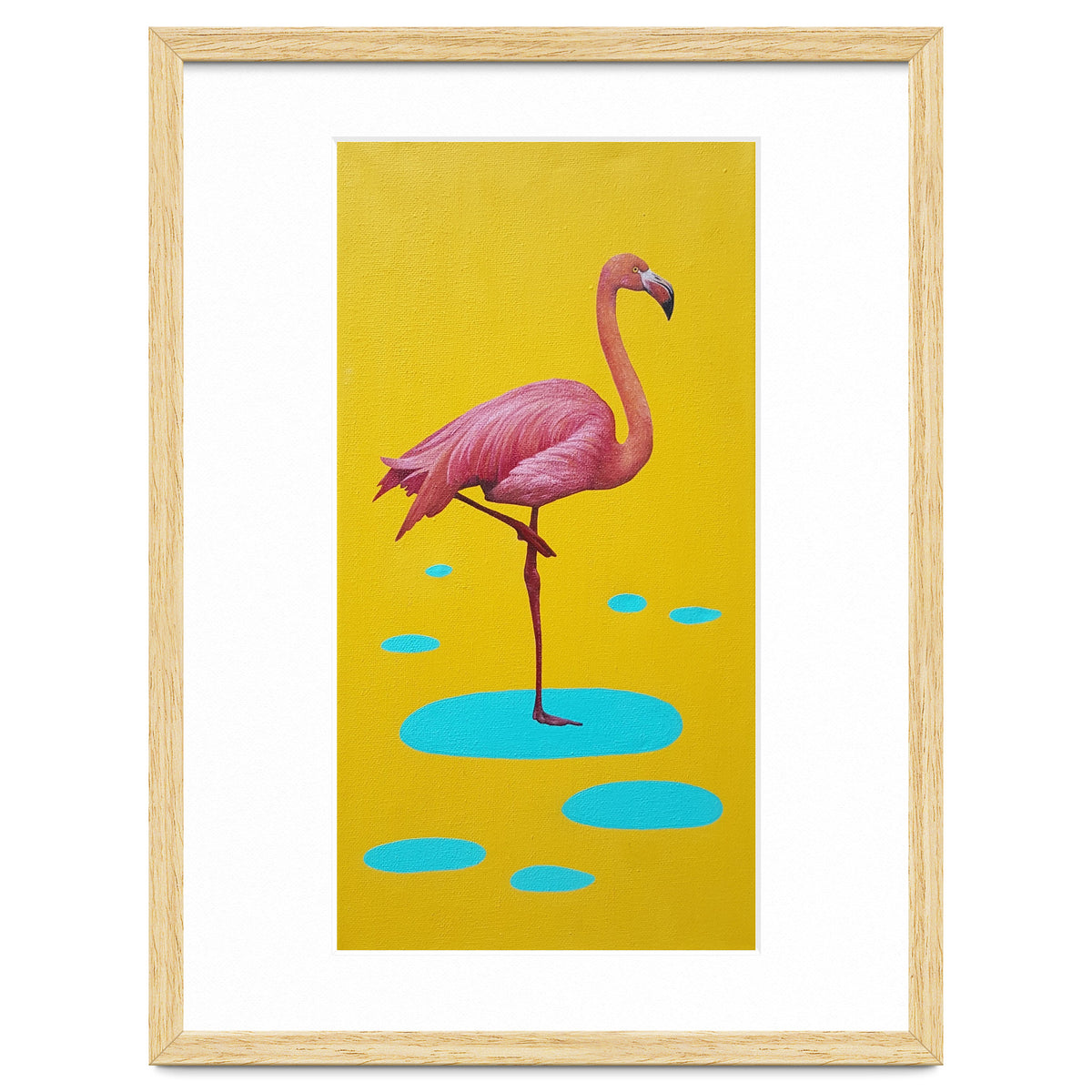 Flamingo
