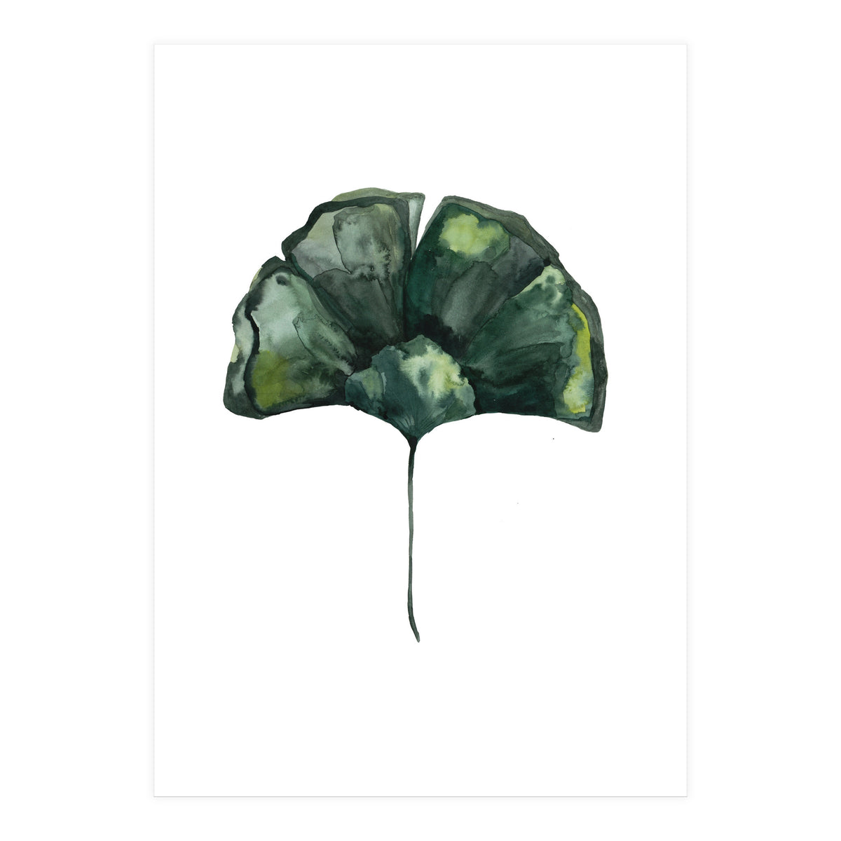 Botanical Illustration Ginko (Print Only)