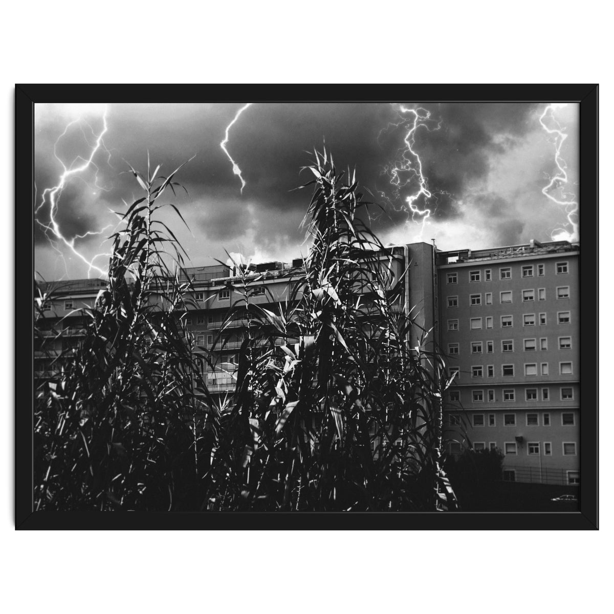 Thunderstorm in Tivoli