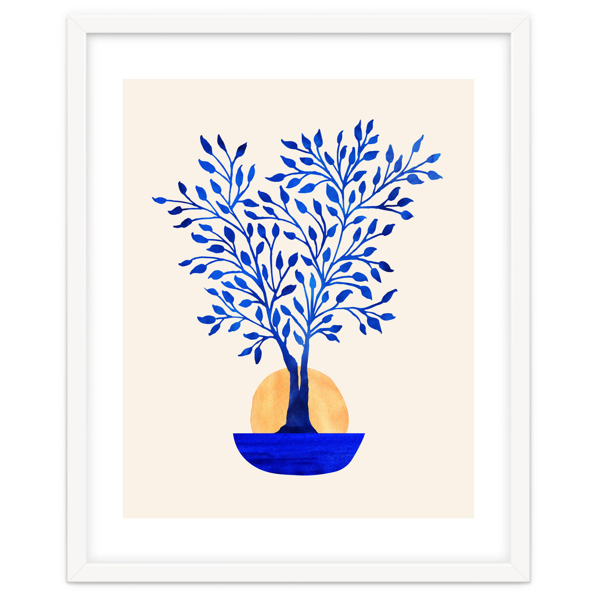 Indigo Ficus Sunrise
