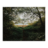 Tomales Bay (Print Only) thumbnail