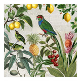 Fruit Paradise (Print Only) thumbnail