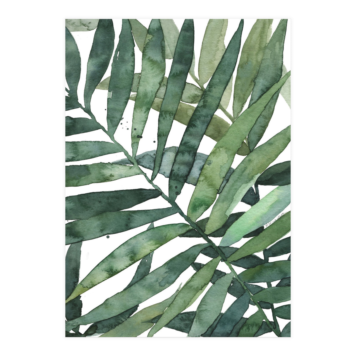 tropical 5 (Print Only)