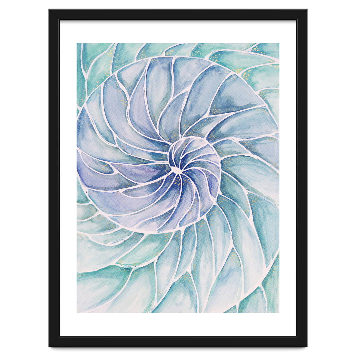 The inside of a shell