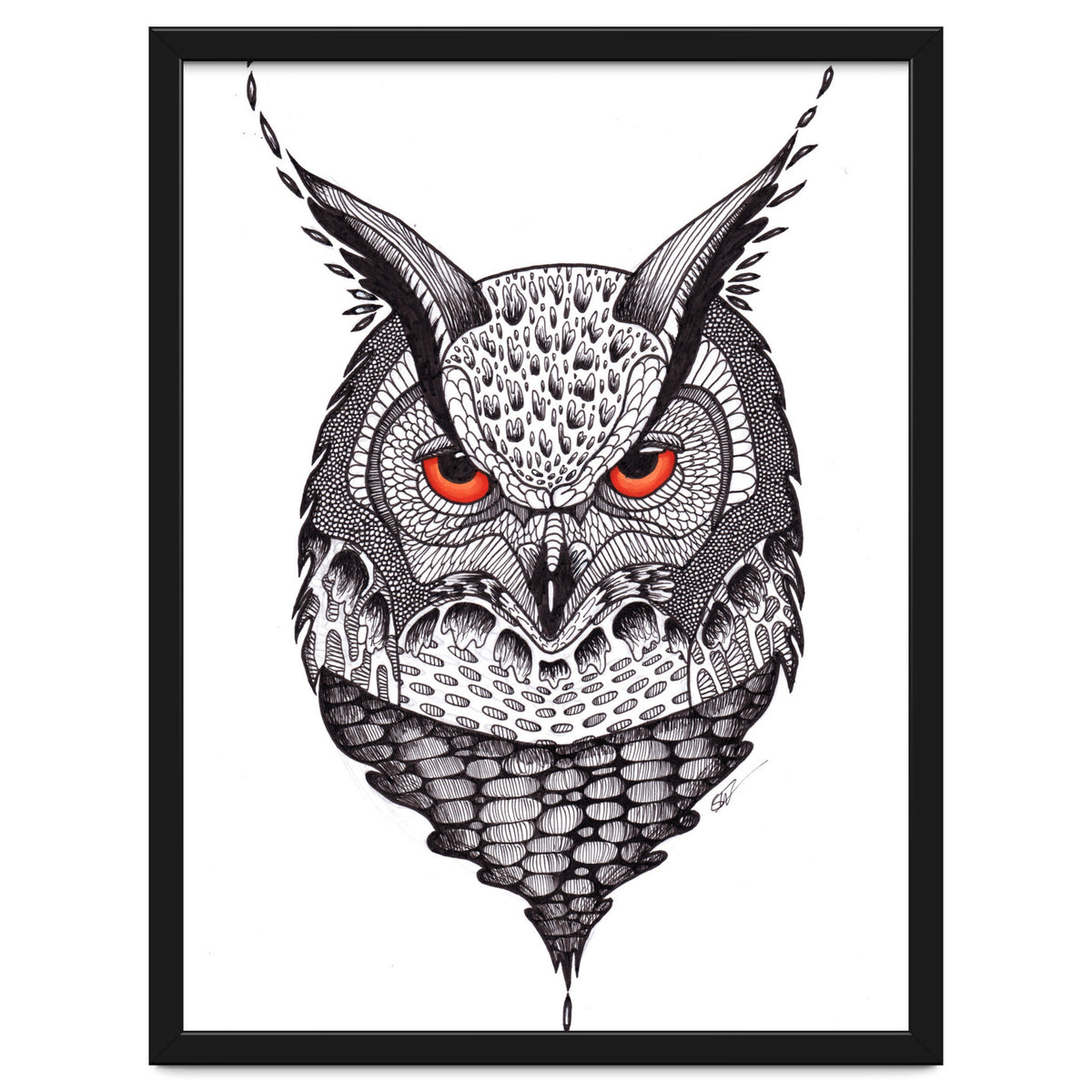 Owl