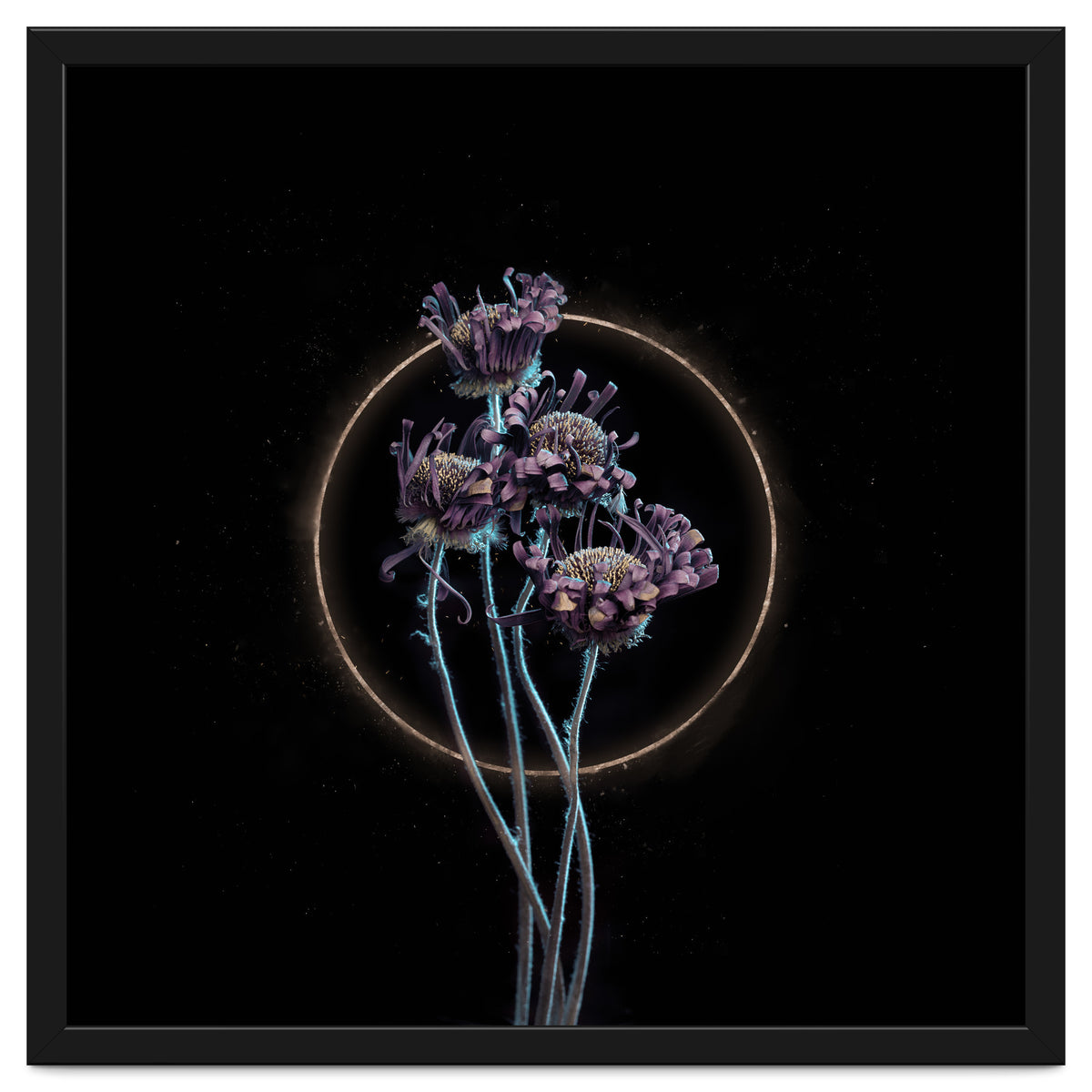 Candy-Coloured Mystery