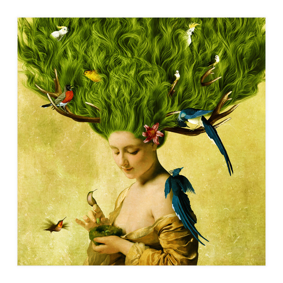 Safe Haven (Print Only)