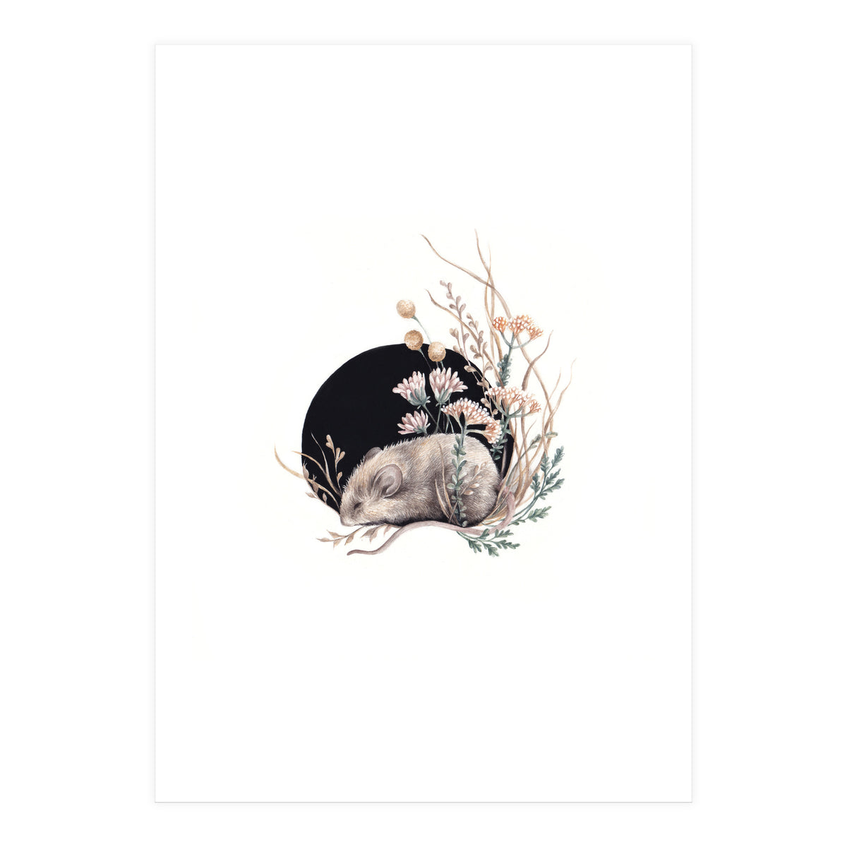 Sleeping Mouse (Print Only)
