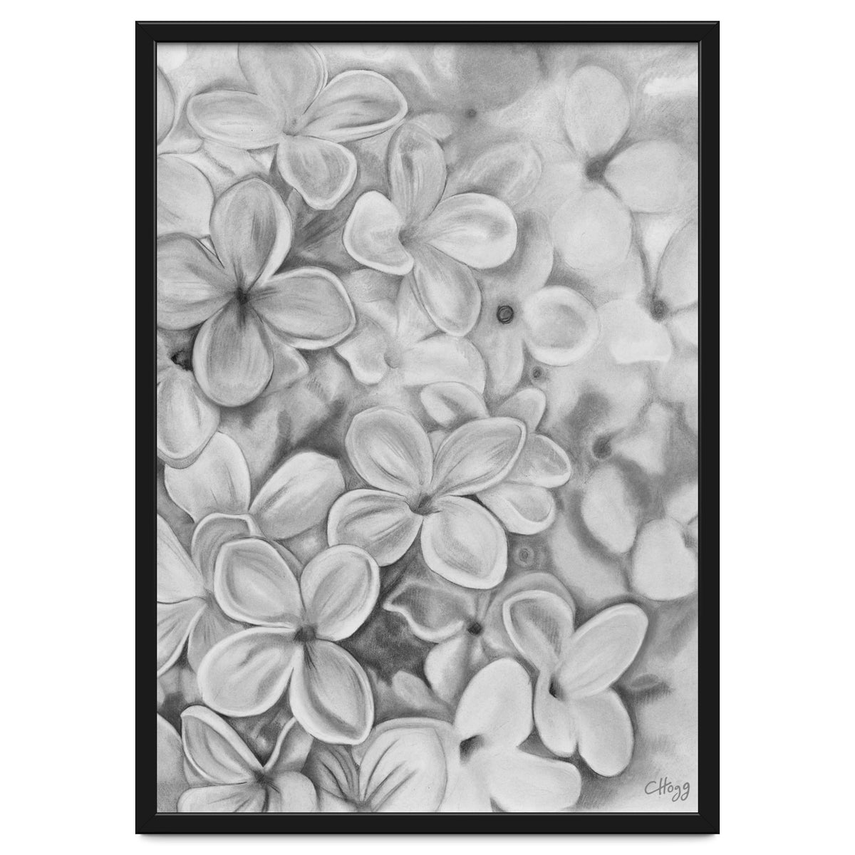 The Essence Of Spring in Monochrome